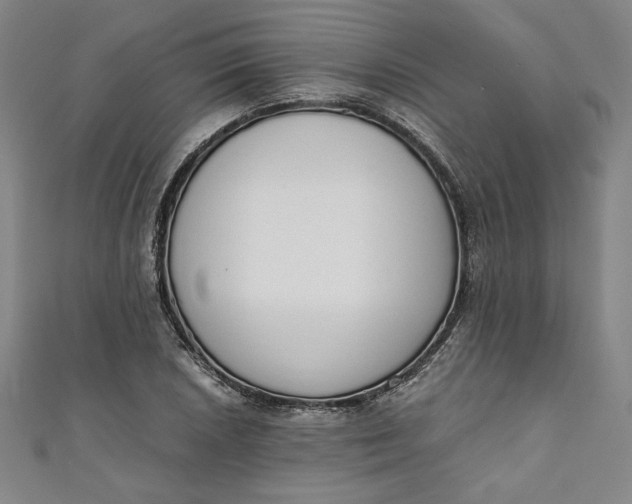 X0000111451026200907271226