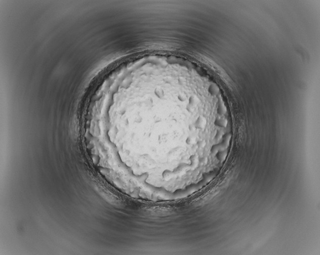 X0000111451027200907271226