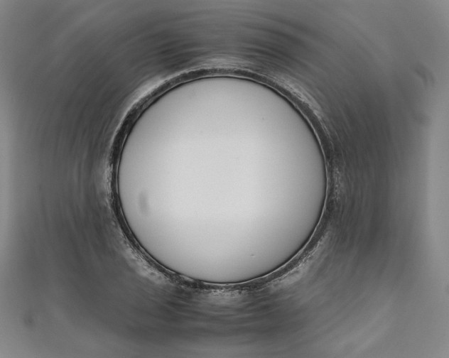 X0000111451029200907271226