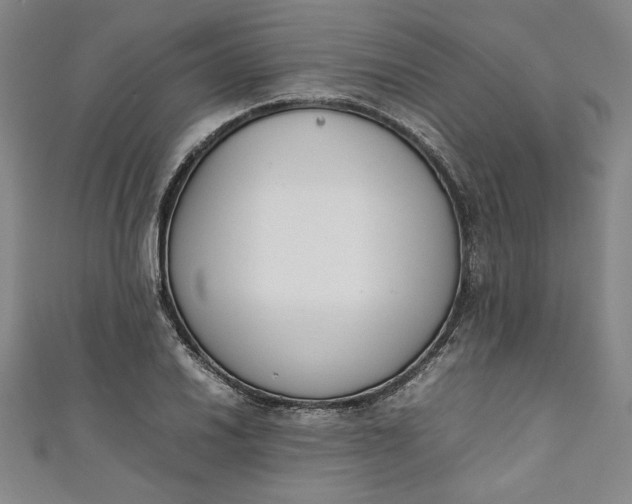 X0000111451030200907271226
