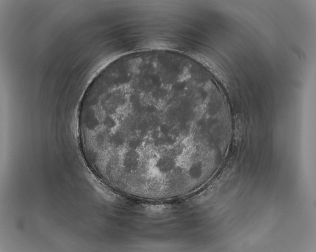 X0000111451031200907271226