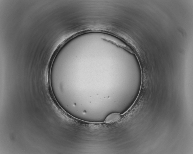 X0000111451032200907271226