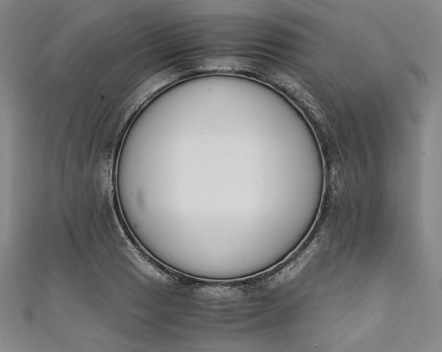 X0000111451033200907271226