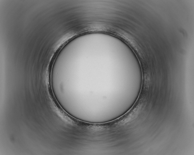 X0000111451034200907271226