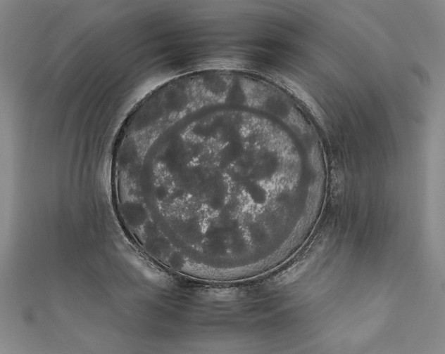 X0000111451035200907271226