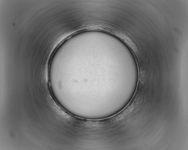 X0000111451036200907271226