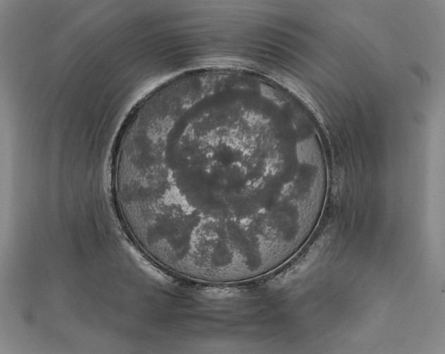X0000111451037200907271226