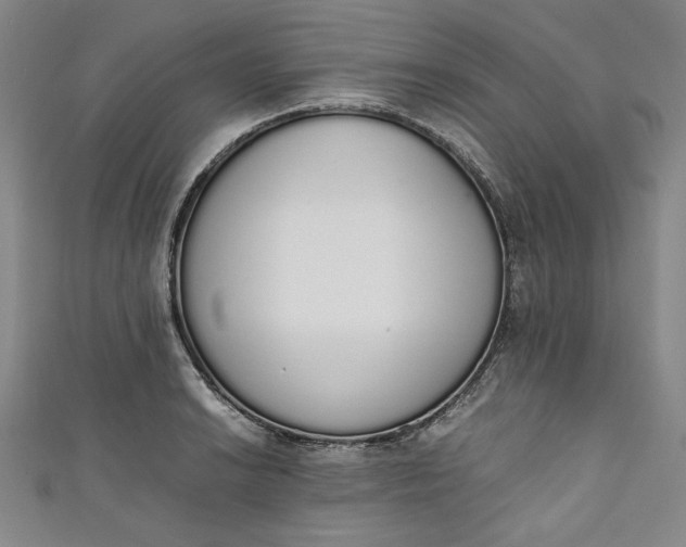 X0000111451038200907271226