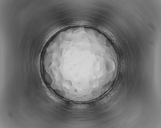 X0000111451039200907271226