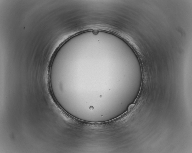 X0000111451040200907271226