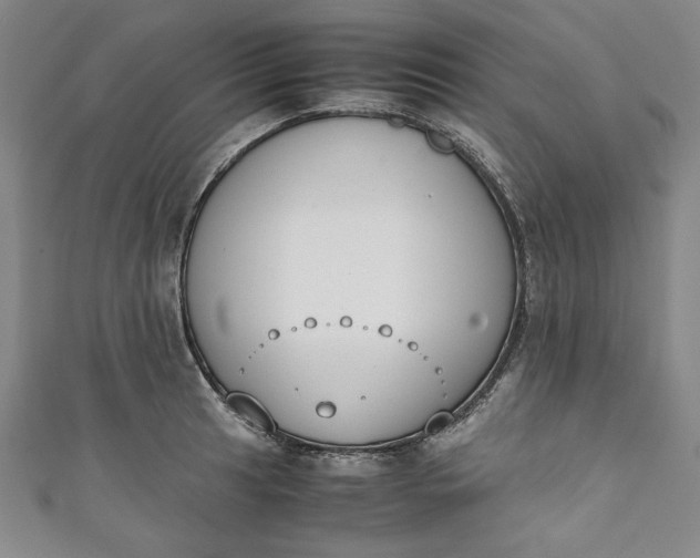X0000111451041200907271226