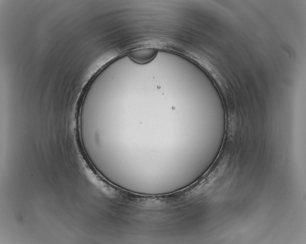 X0000111451042200907271226
