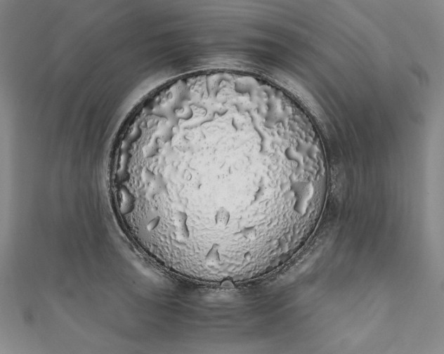 X0000111451043200907271226