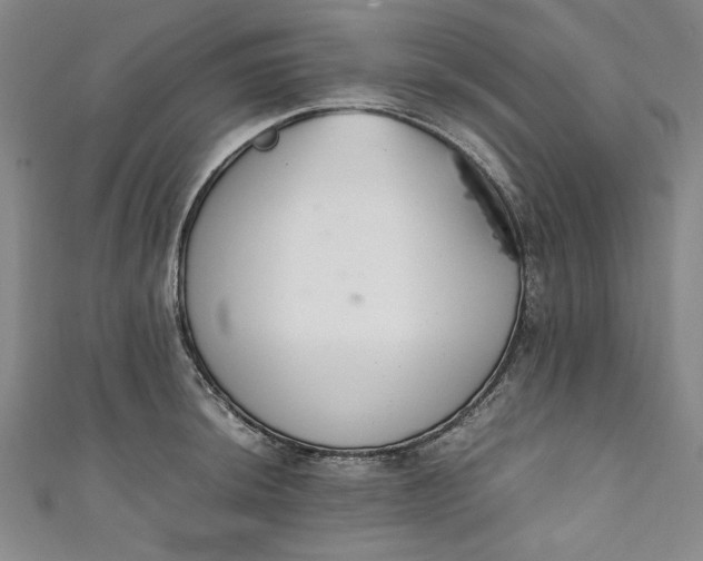 X0000111451044200907271226