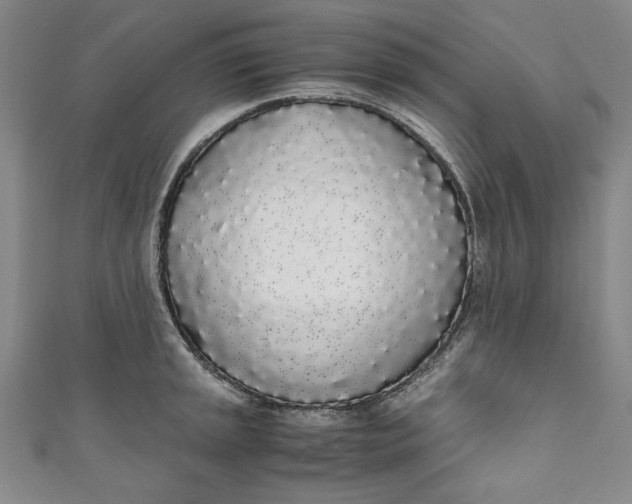 X0000111451045200907271226
