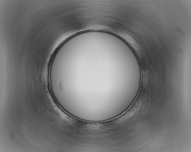 X0000111451046200907271226