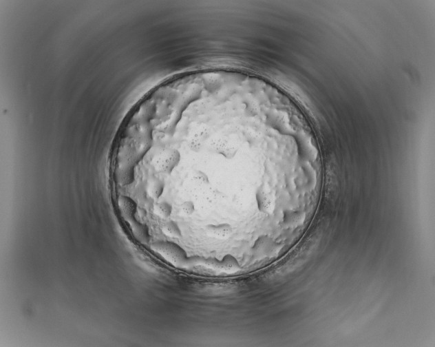 X0000111451047200907271226