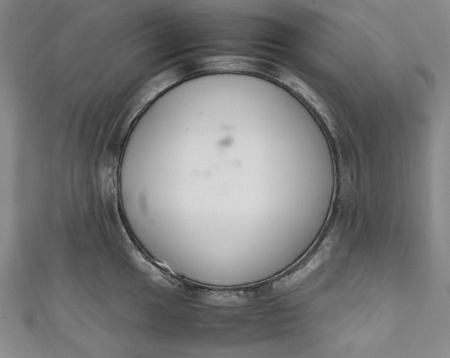 X0000111451049200907271227