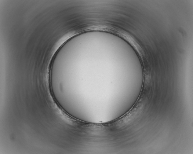 X0000111451050200907271227