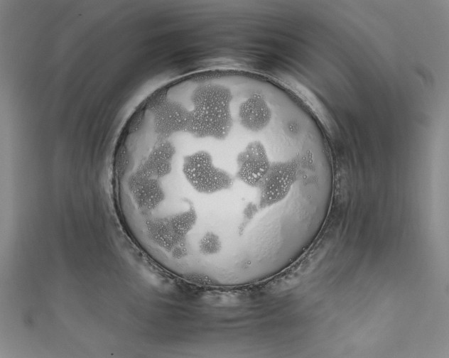 X0000111451051200907271227