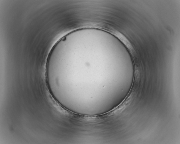 X0000111451052200907271227