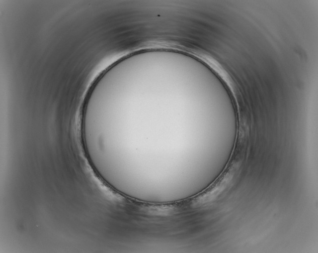 X0000111451053200907271227