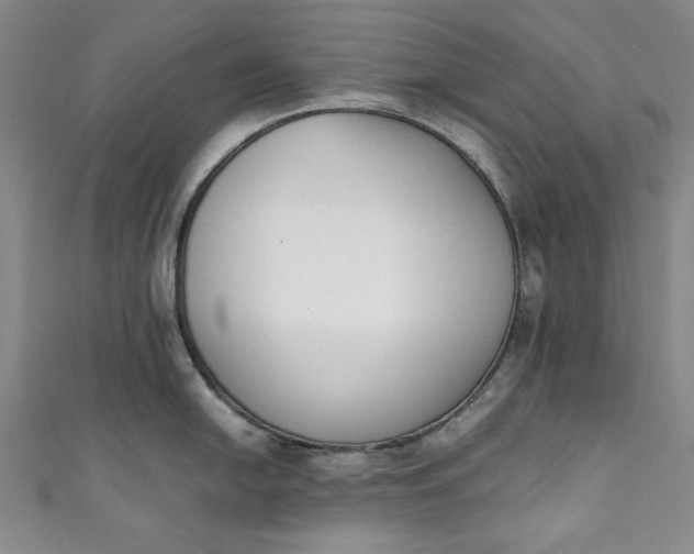 X0000111451054200907271227