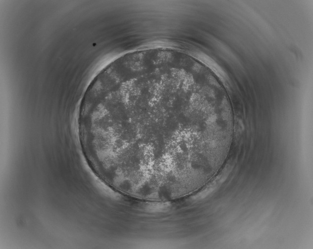 X0000111451055200907271227