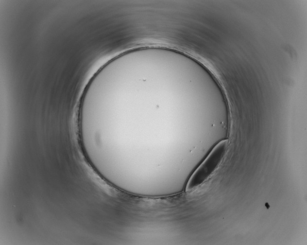 X0000111451056200907271227