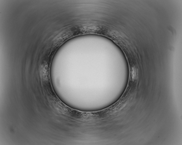 X0000111451059200907271226