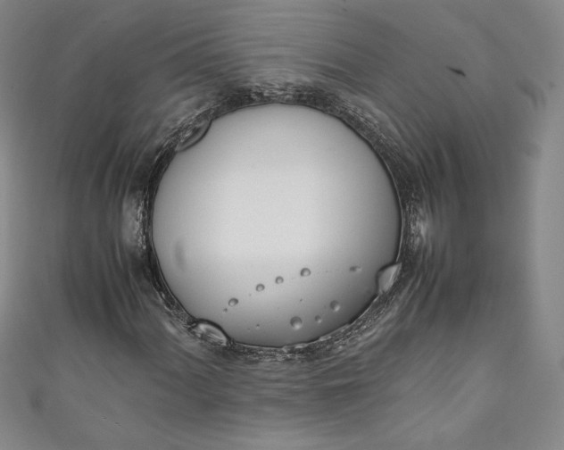 X0000111451060200907271226