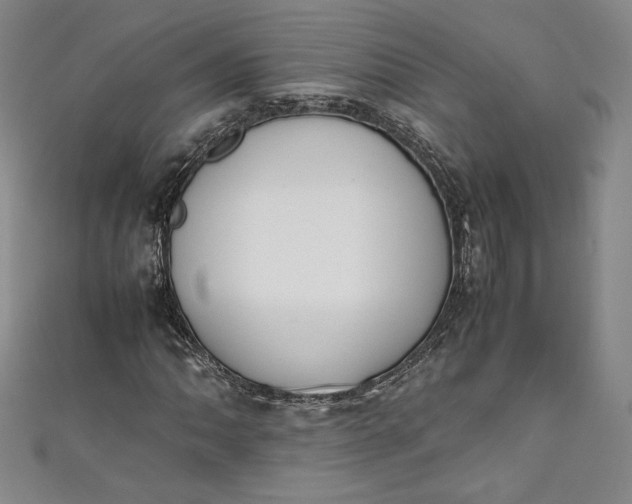 X0000111451062200907271226