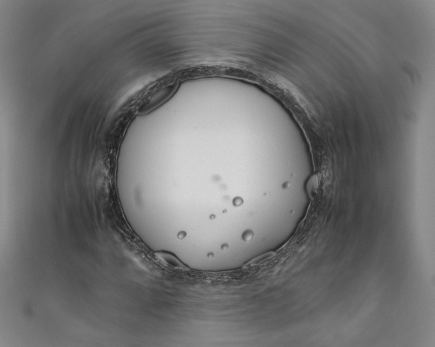 X0000111451064200907271226