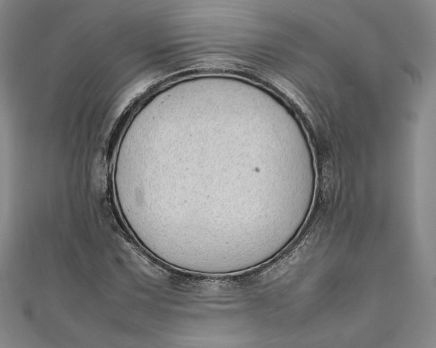 X0000111451067200907271226