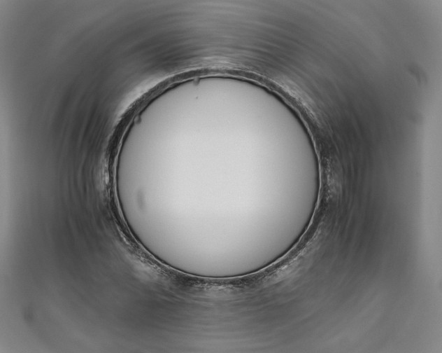 X0000111451070200907271226