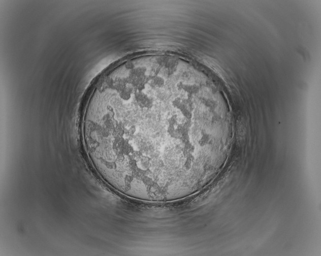 X0000111451071200907271226