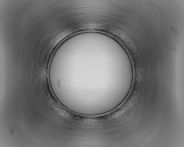X0000111451073200907271226
