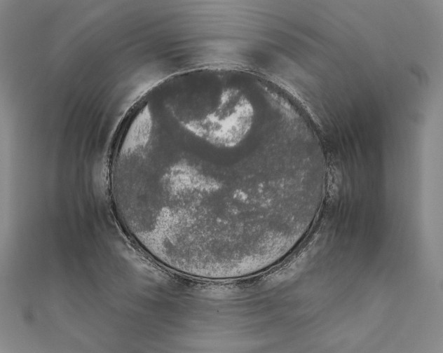 X0000111451074200907271226