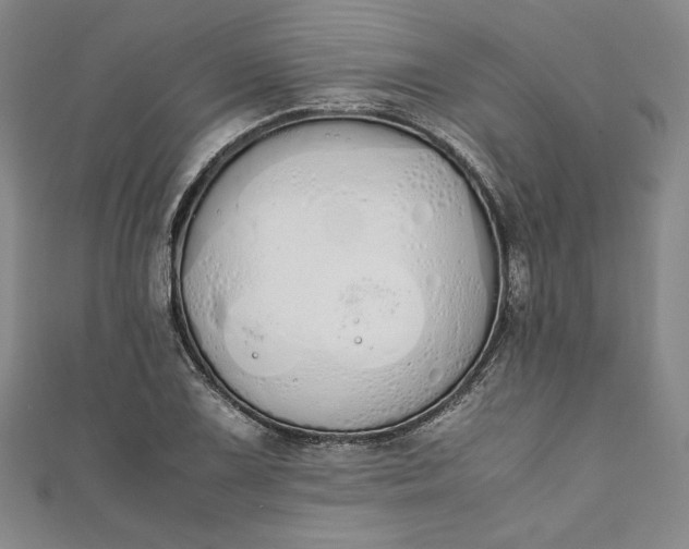 X0000111451075200907271226