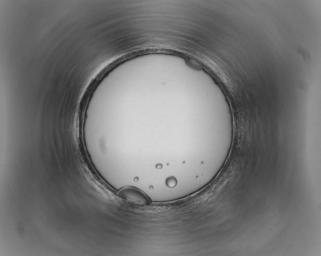 X0000111451076200907271226