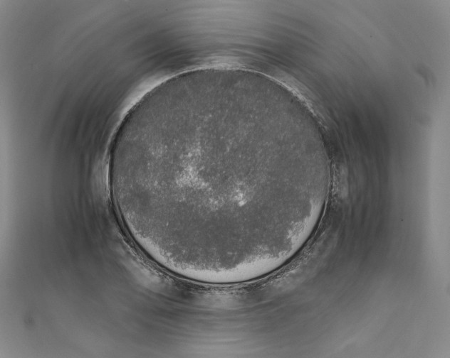 X0000111451078200907271226