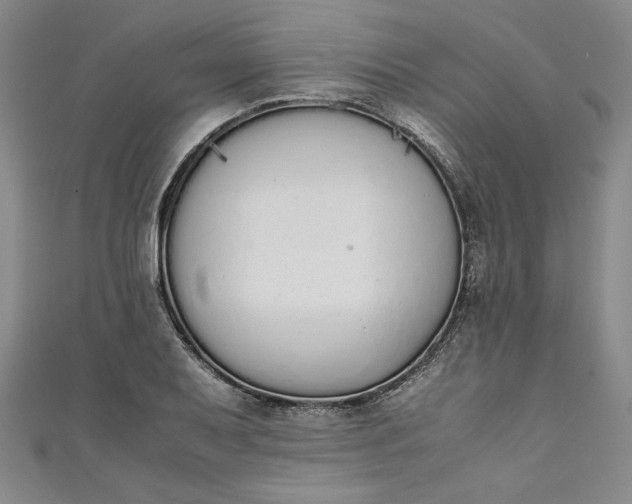 X0000111451079200907271226