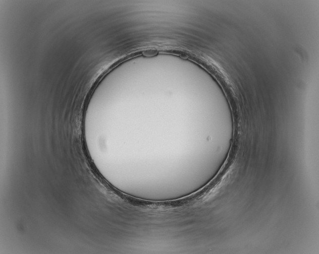 X0000111451081200907271226