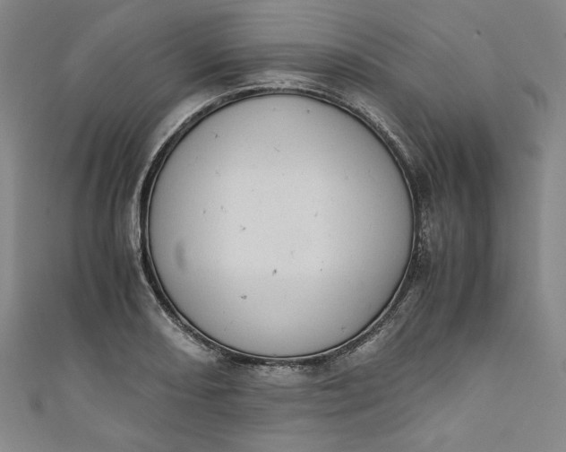 X0000111451082200907271226