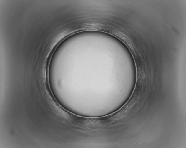 X0000111451083200907271226