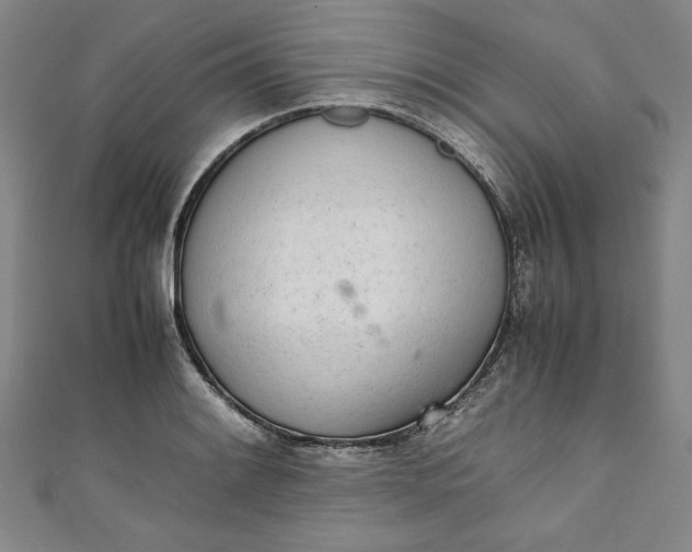 X0000111451084200907271226