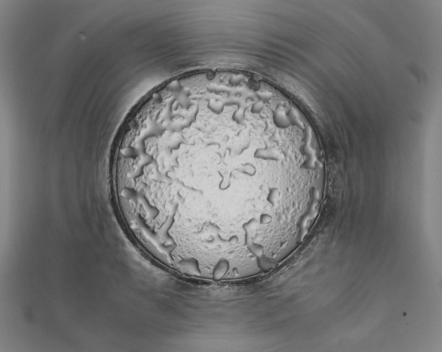 X0000111451087200907271226