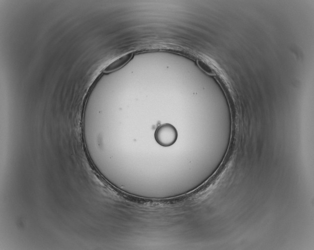 X0000111451089200907271226