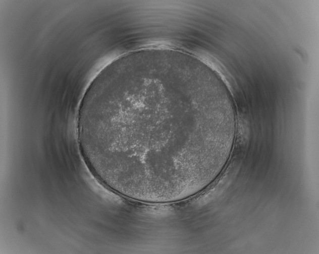 X0000111451090200907271226