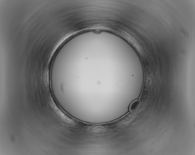 X0000111451092200907271226